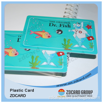 Plastic Membership Card/Gift Card/VIP Card/Smart Cards